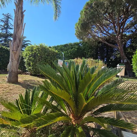 Charming 2 Bedroom With Sea View, Pool And Parking 公寓 昂蒂布