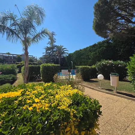 Charming 2 Bedroom With Sea View, Pool And Parking 公寓 昂蒂布